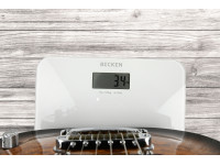 ESP HORIZON NT CTM ANTIQUE BROWN SUNBURST Original Series ESP HORIZON NT CTM ANTIQUE BROWN SUNBURST Original Series